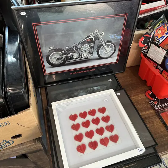 pictures inc Harley Davidson