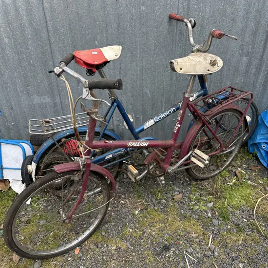 vintage Raleigh 20 projects