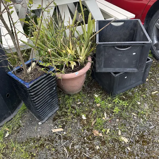 2 plants plus bins