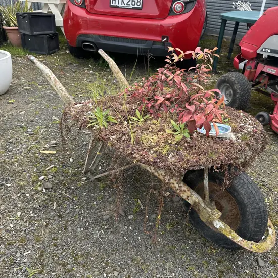 garden art