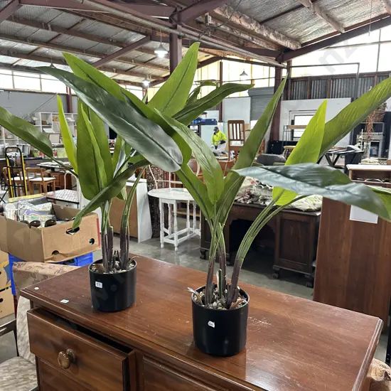 2 fake plants