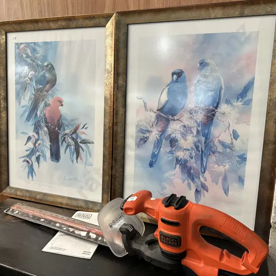 Pr ltd ed pictures and electric trimmer