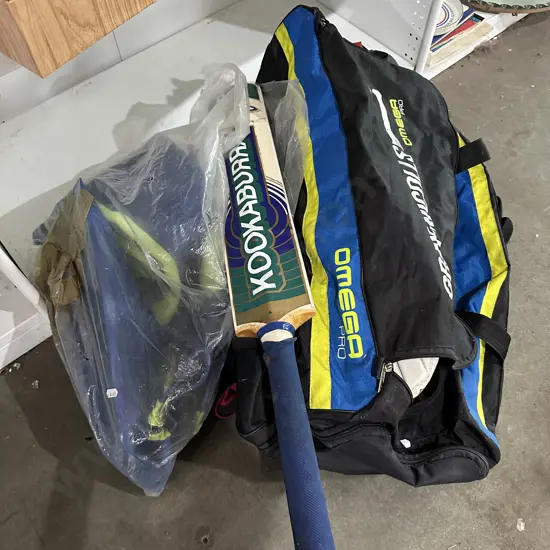 Cricket gear and dive suit