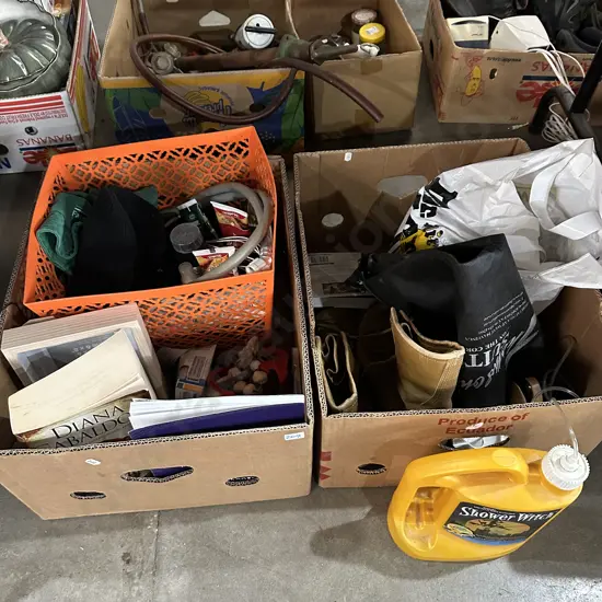 2 boxes, boot polish, shower witch etc