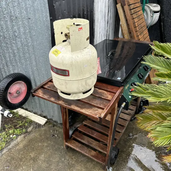 gas bottle and bbq