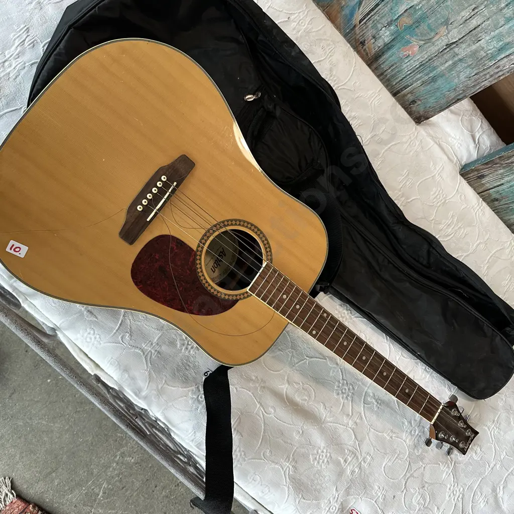 Ashton guitar and bag Image 1++