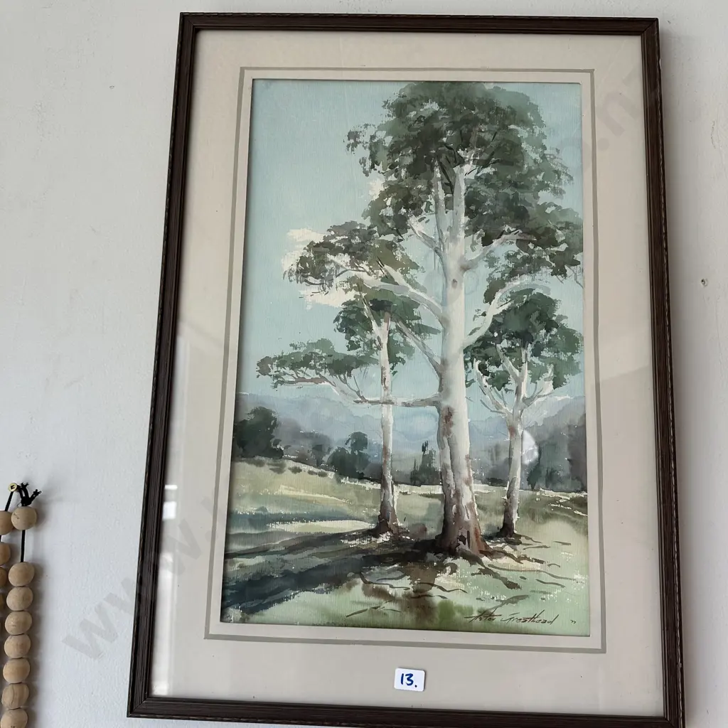 "Gums Amberley" North Canterbury signed water colour 1977 Image 1++