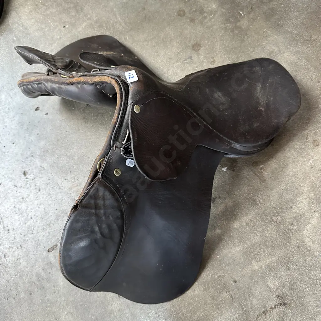 English TPJ saddle Image 1++