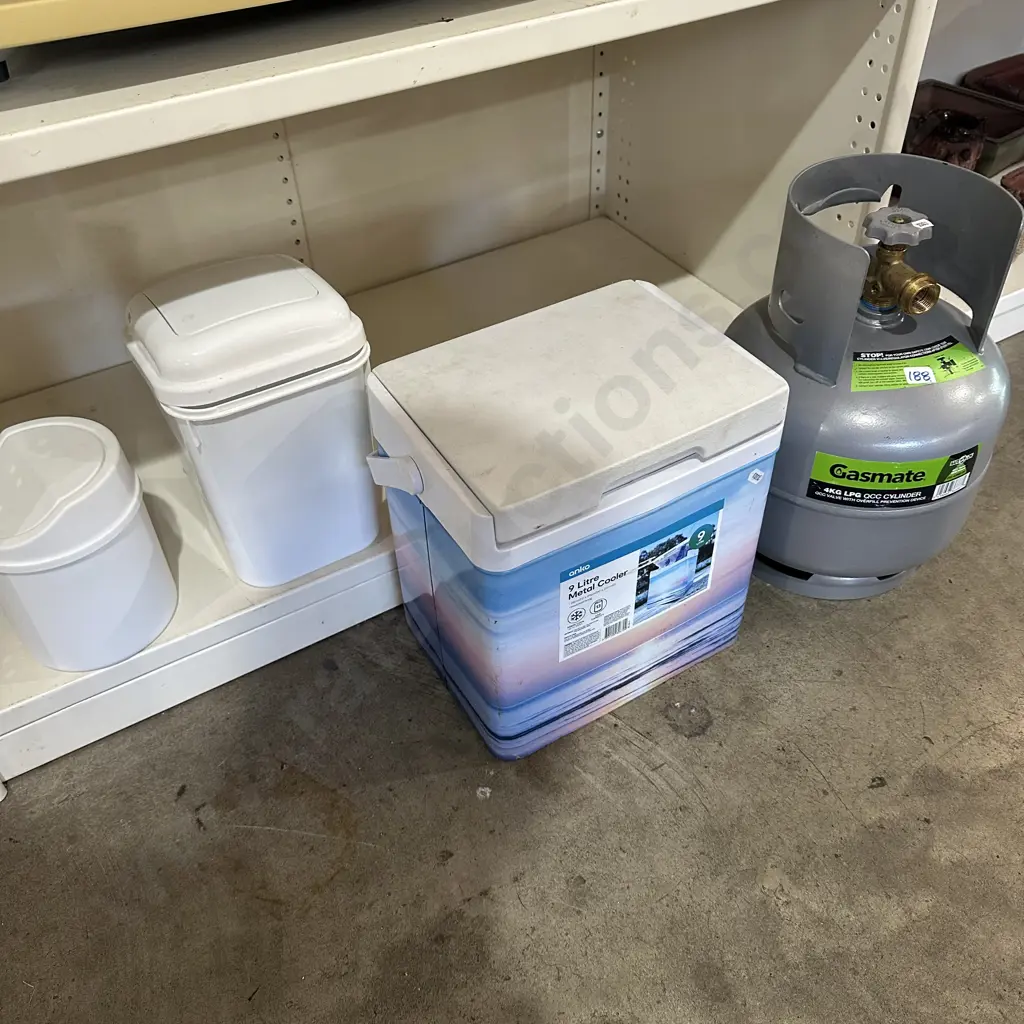 4Kg gas bottle plus cooler box and bins. Image 1++