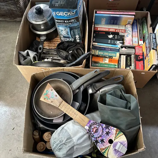 Three boxes books, pots and pans and insect killer etc.