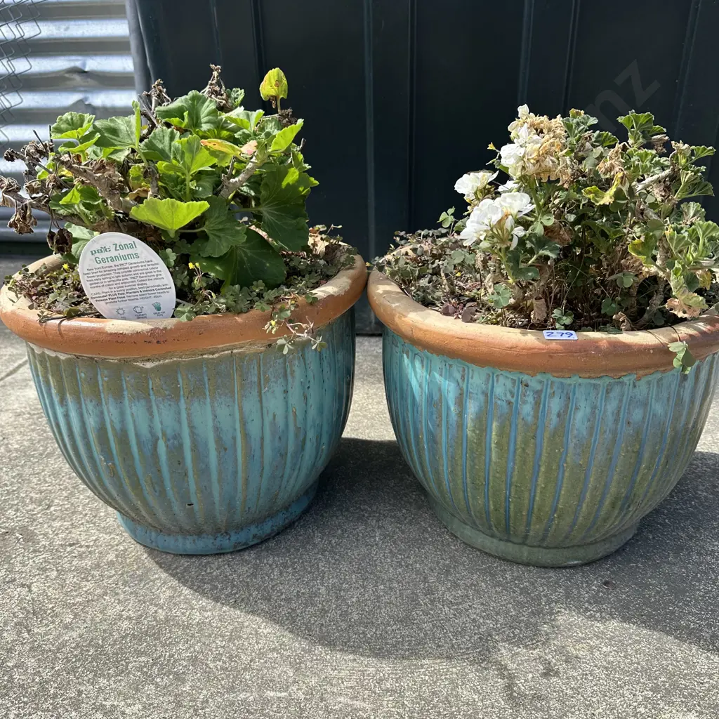 Pair of potted plants. Image 1++