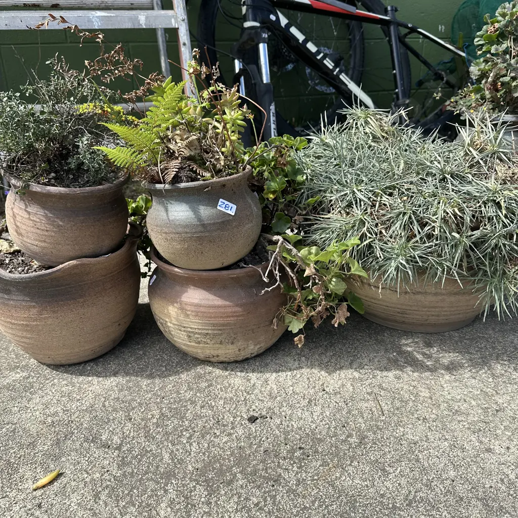 selection of planters. Image 1++