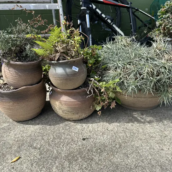selection of planters.