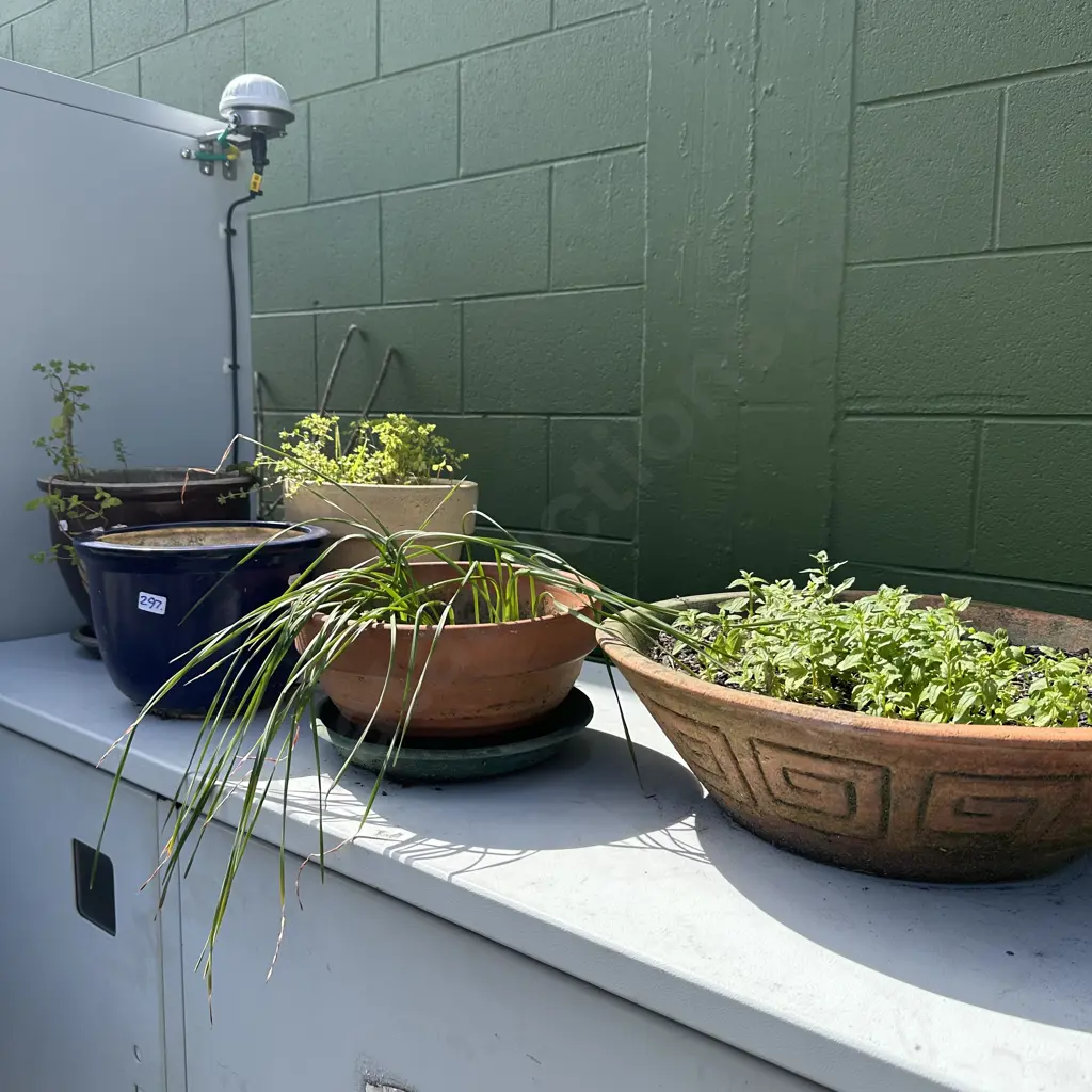 Collection of planters. Image 1++