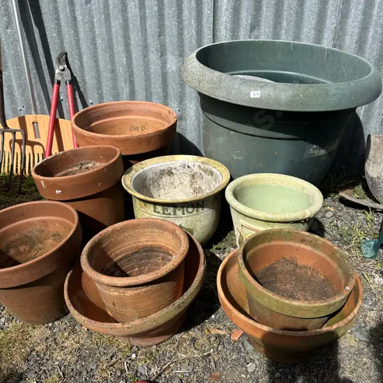 large plastic planter plus lots of terracotta & Lemon planter