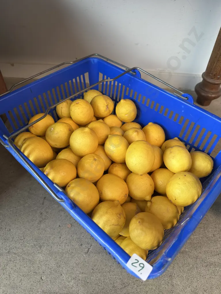 Limes - not the basket Image 1++