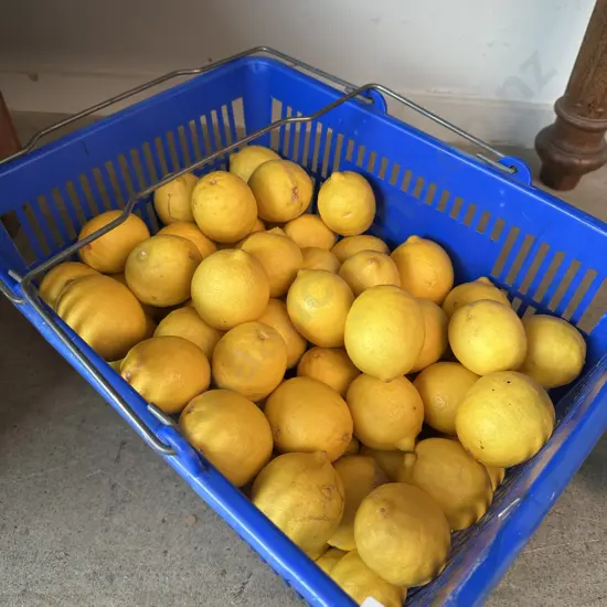 Limes - not the basket