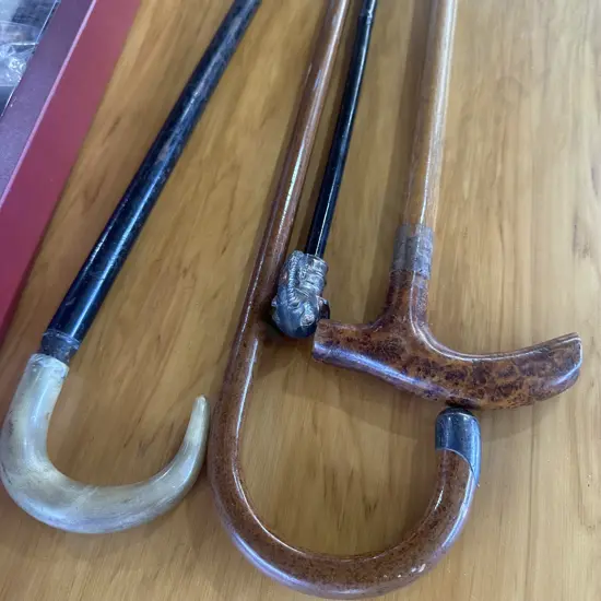 Four walking sticks.