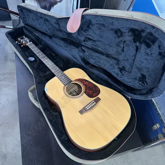 Karina guitar and travel case