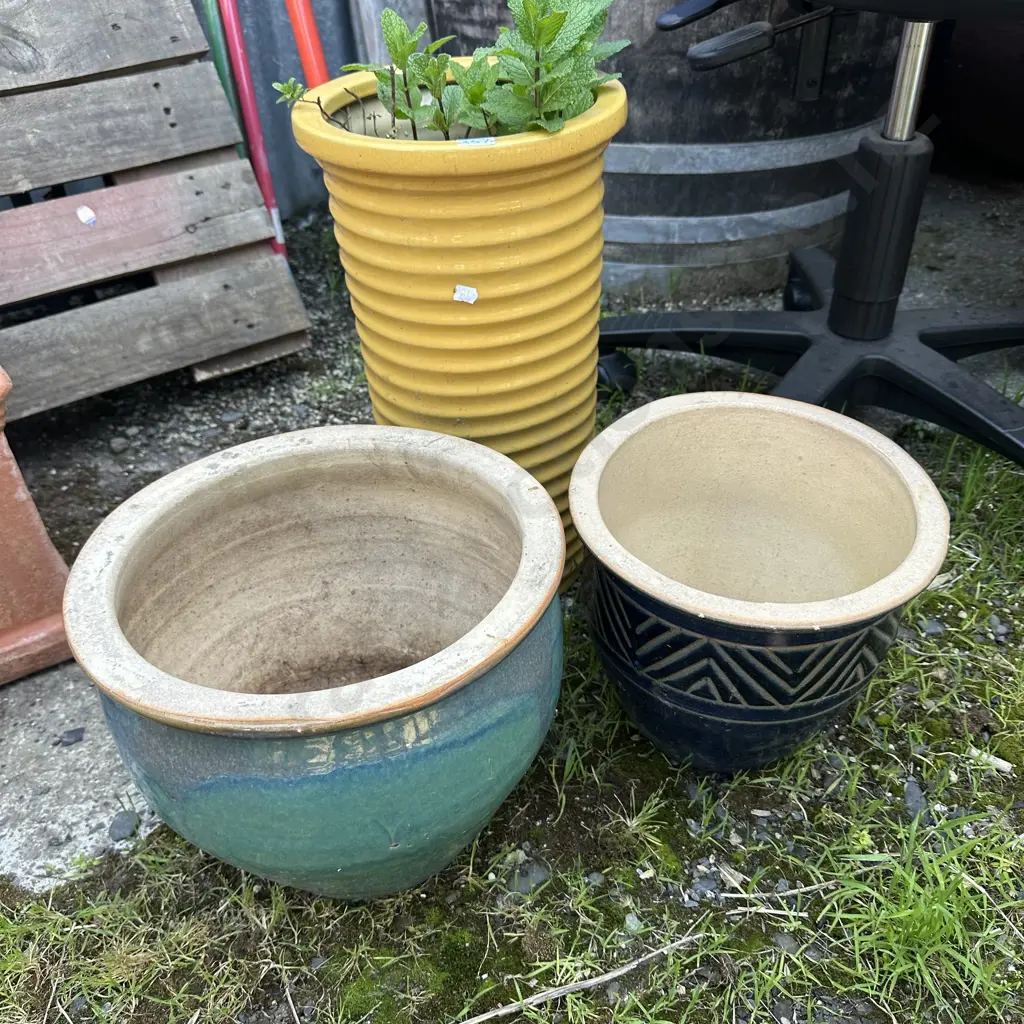 3 planters inc Mint Image 1++