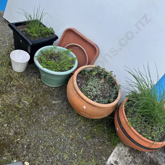 selection planters