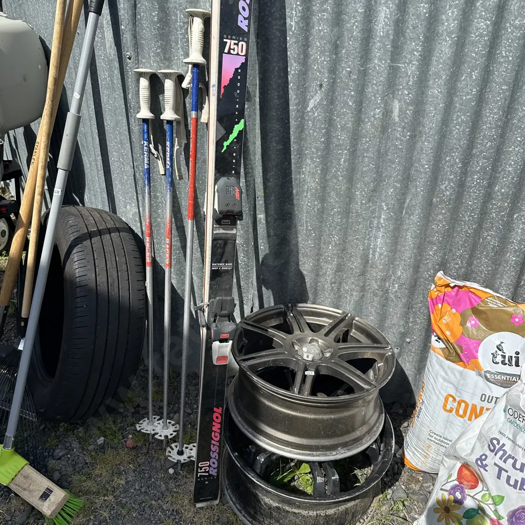mags, skis and poles Image 1++