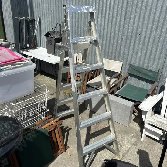 6 foot ladder