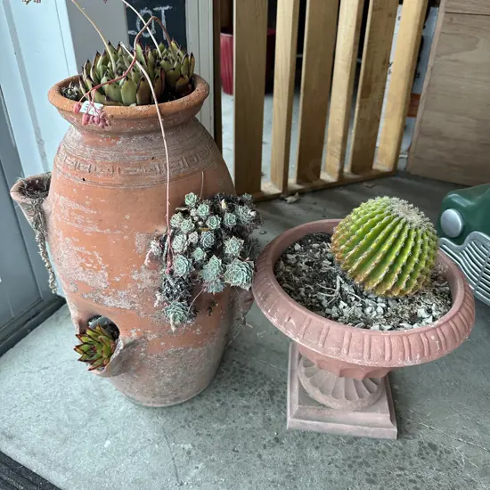 2 planters , 1 terracotta, as is