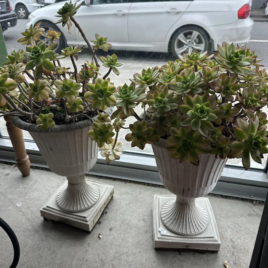 Pr of plastic planters Image 1++
