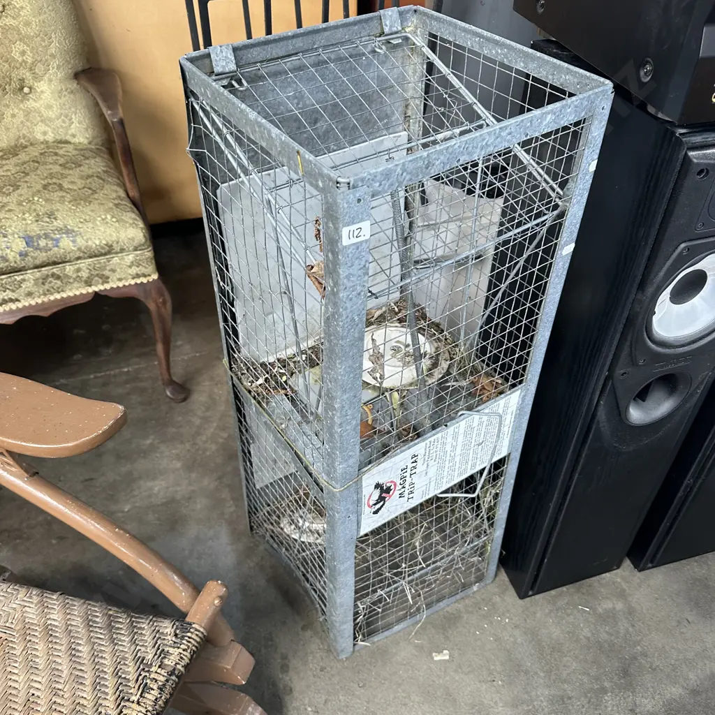 magpie trap Image 1++