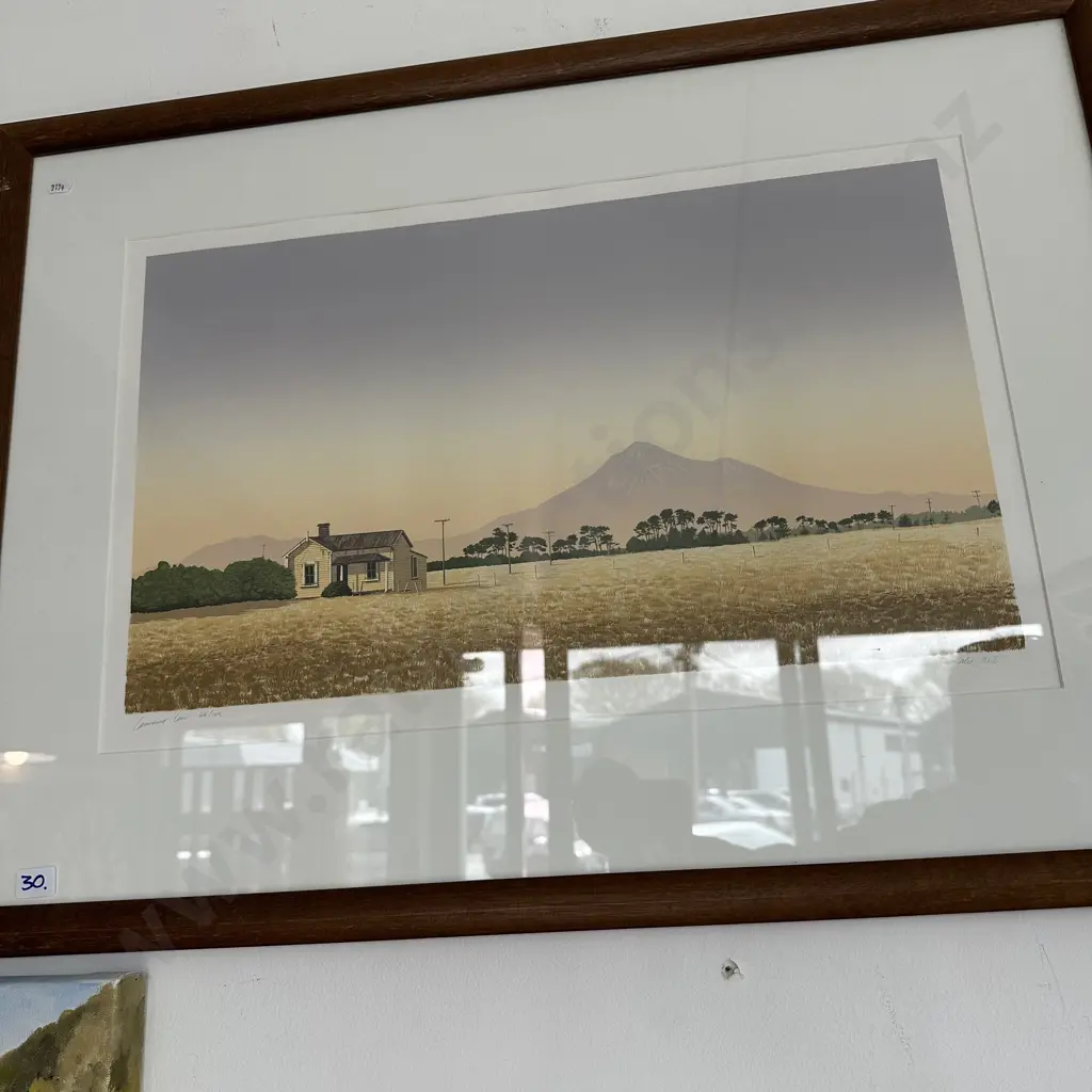 "Summer mountain" Taranaki ltd ed 68/105 by Lawrence Cain Image 1++