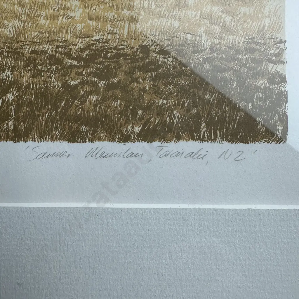 "Summer mountain" Taranaki ltd ed 68/105 by Lawrence Cain Image 1++