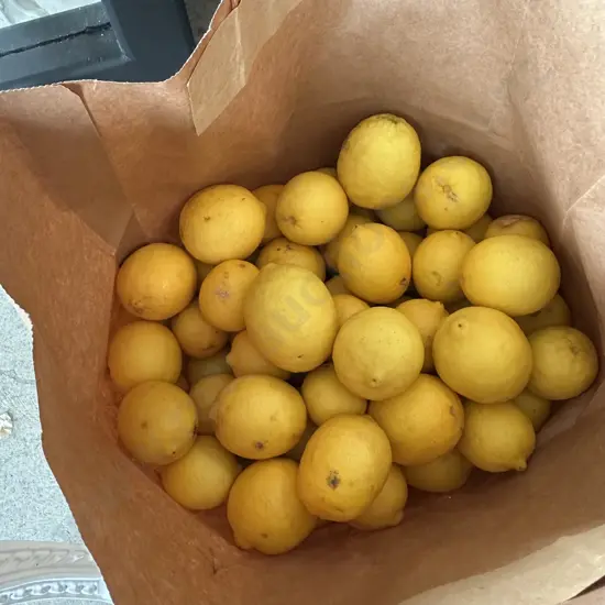 HB grown organic Limes (half a supermarket bag full, not the blue basket)