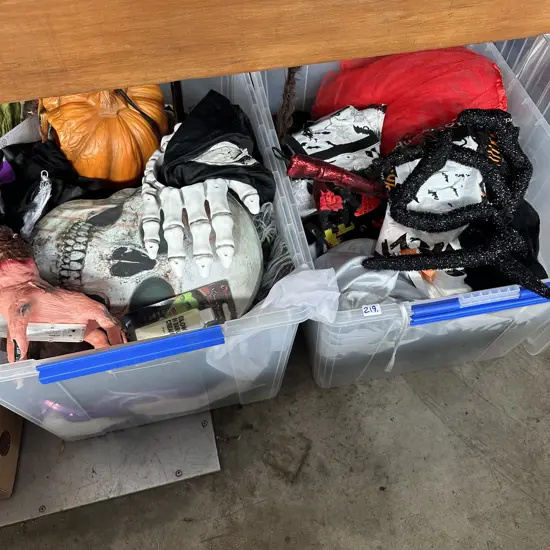 3 bins of Halloween (another photo to come)