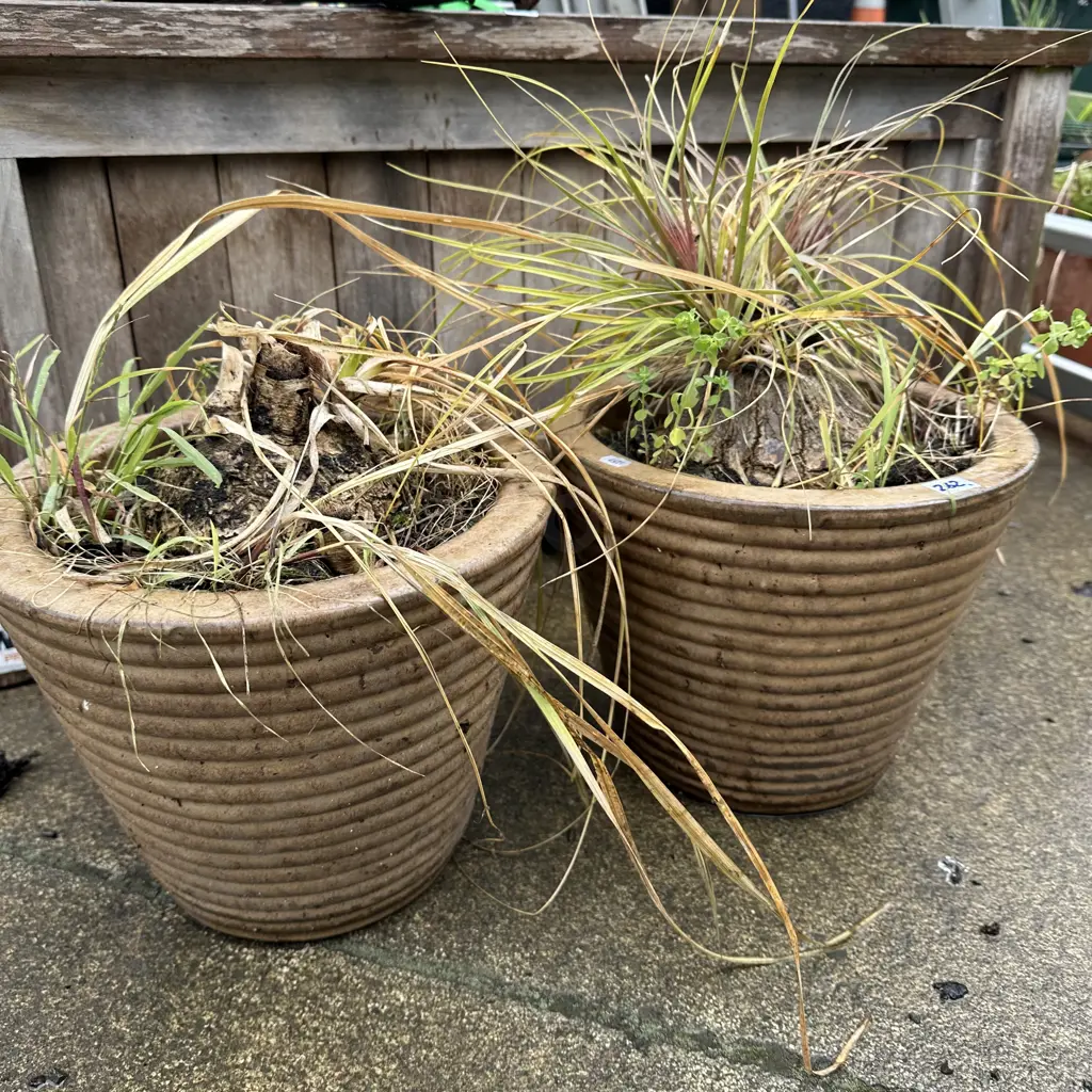 Pair of planters. Image 1++