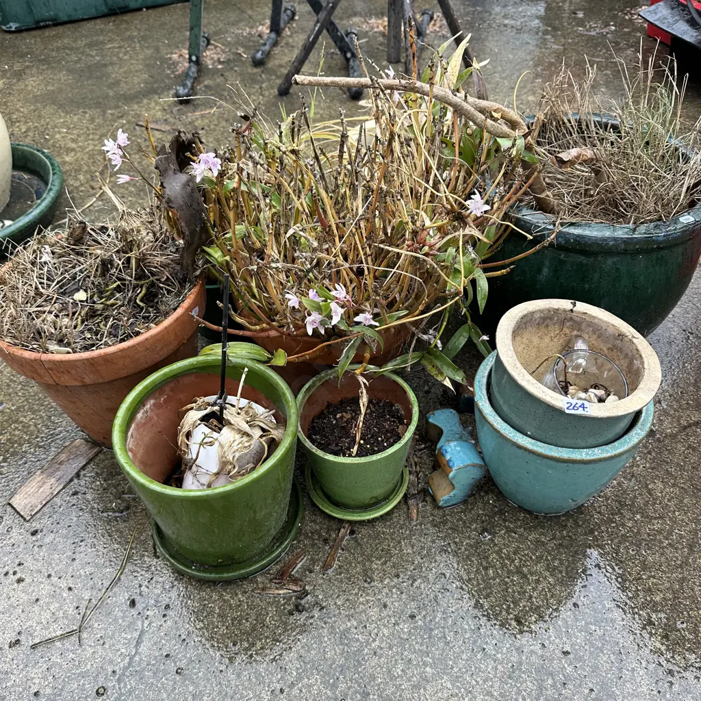 Assorted planters. Image 1++