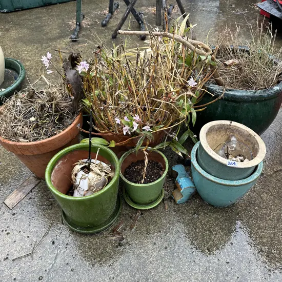 Assorted planters.