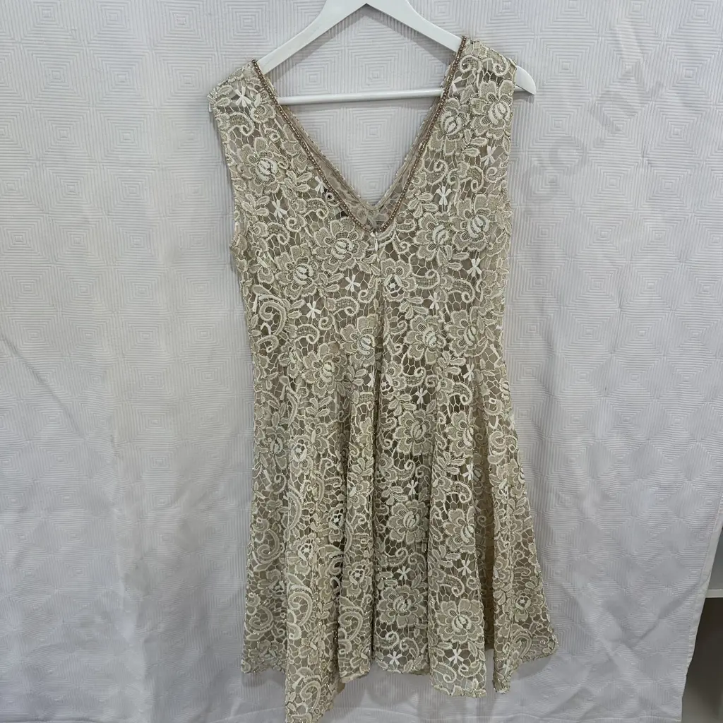 Trelise Cooper "Sheer Delight" size 12 dress Image 1++