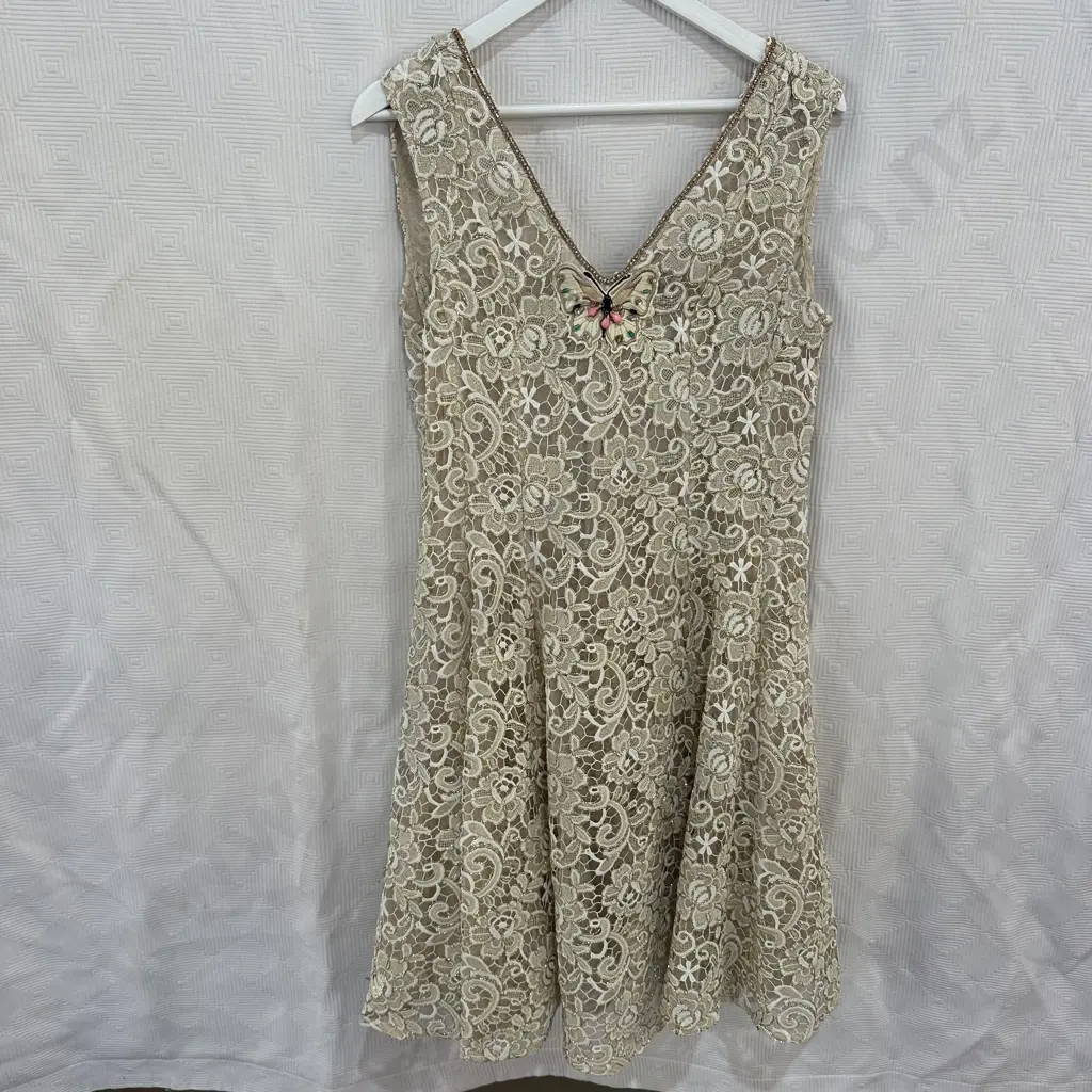 Trelise Cooper "Sheer Delight" size 12 dress Image 1++