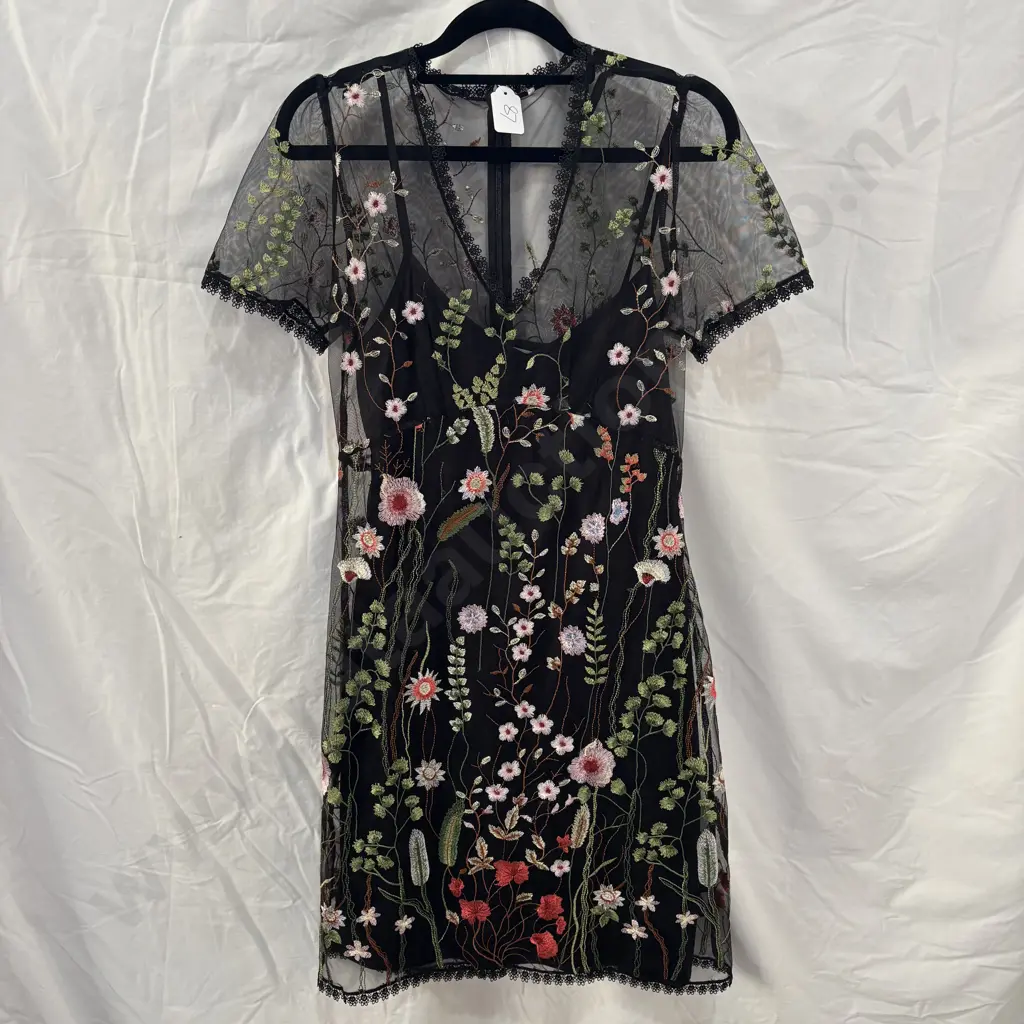 Embroidered STELLA  sheer dress and slip size 8 Image 1++