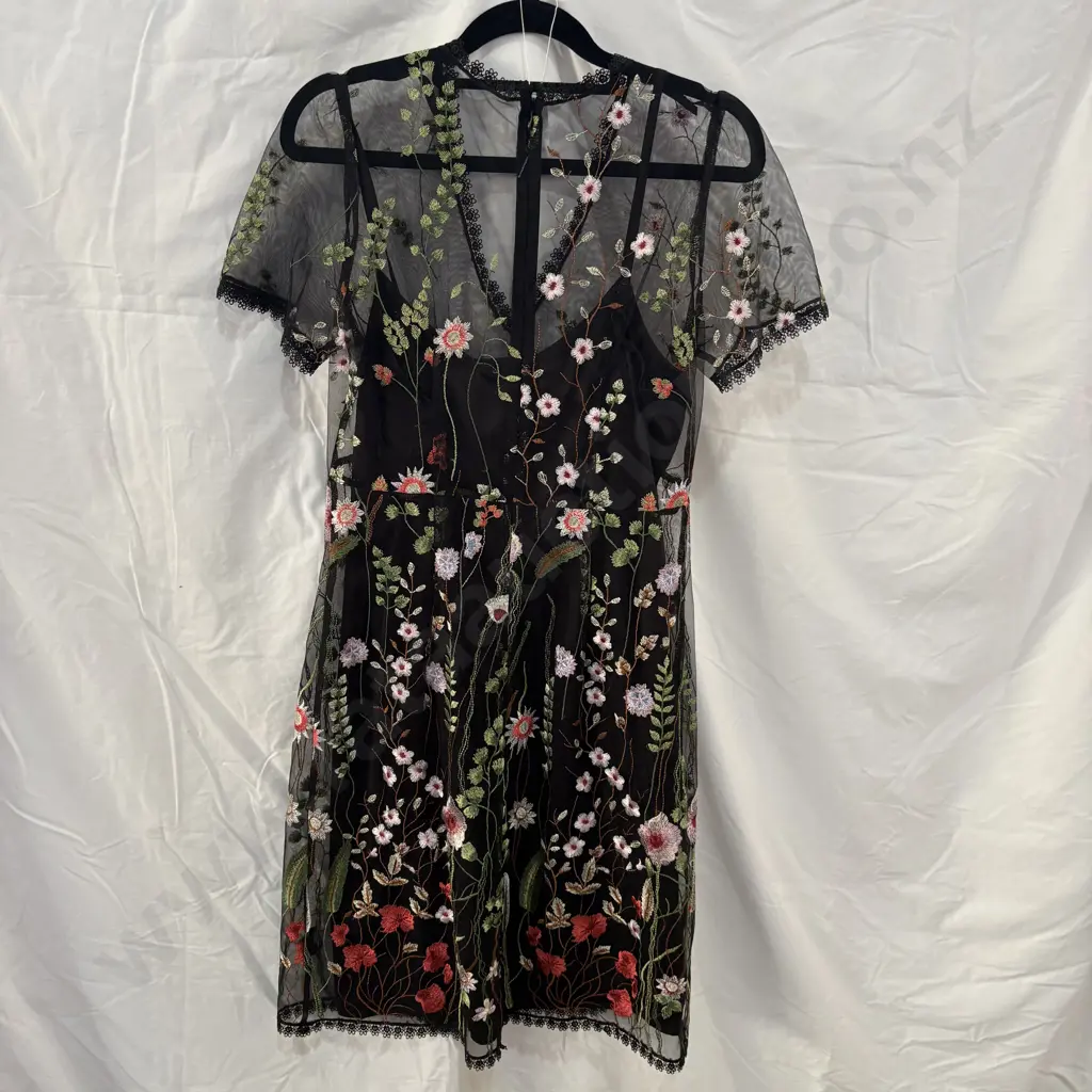 Embroidered STELLA  sheer dress and slip size 8 Image 1++
