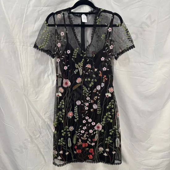 Embroidered STELLA  sheer dress and slip size 8