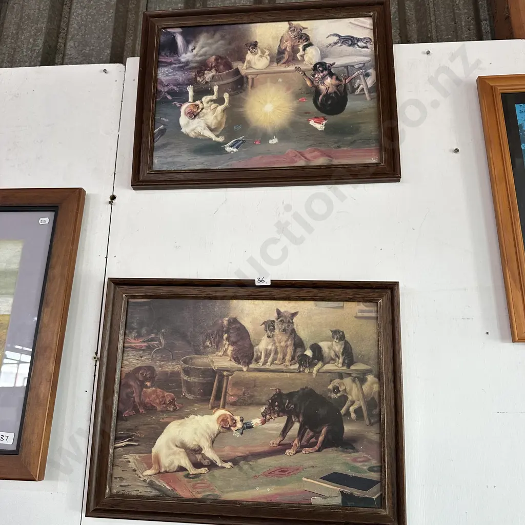 Pr of French dogs at play print Image 1++