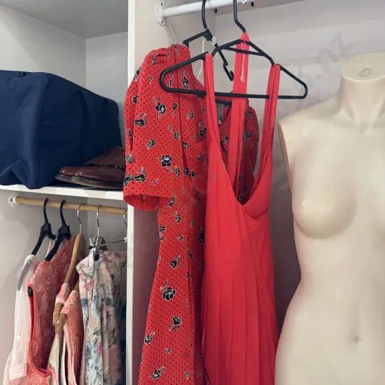 Karen Walker & Ruby dresses