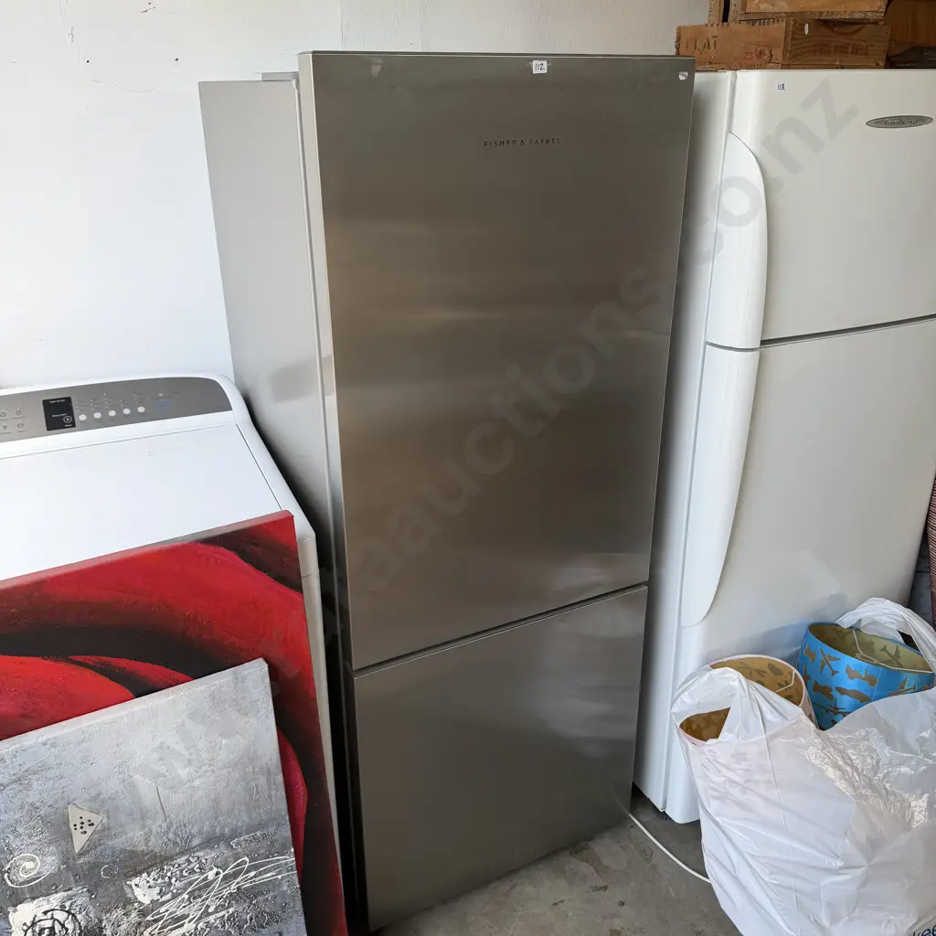 very tidy F&P fridge freezer Image 1++
