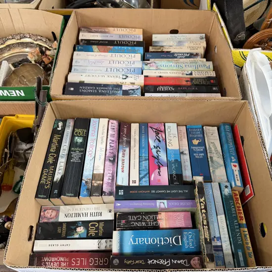 Two boxes of books.