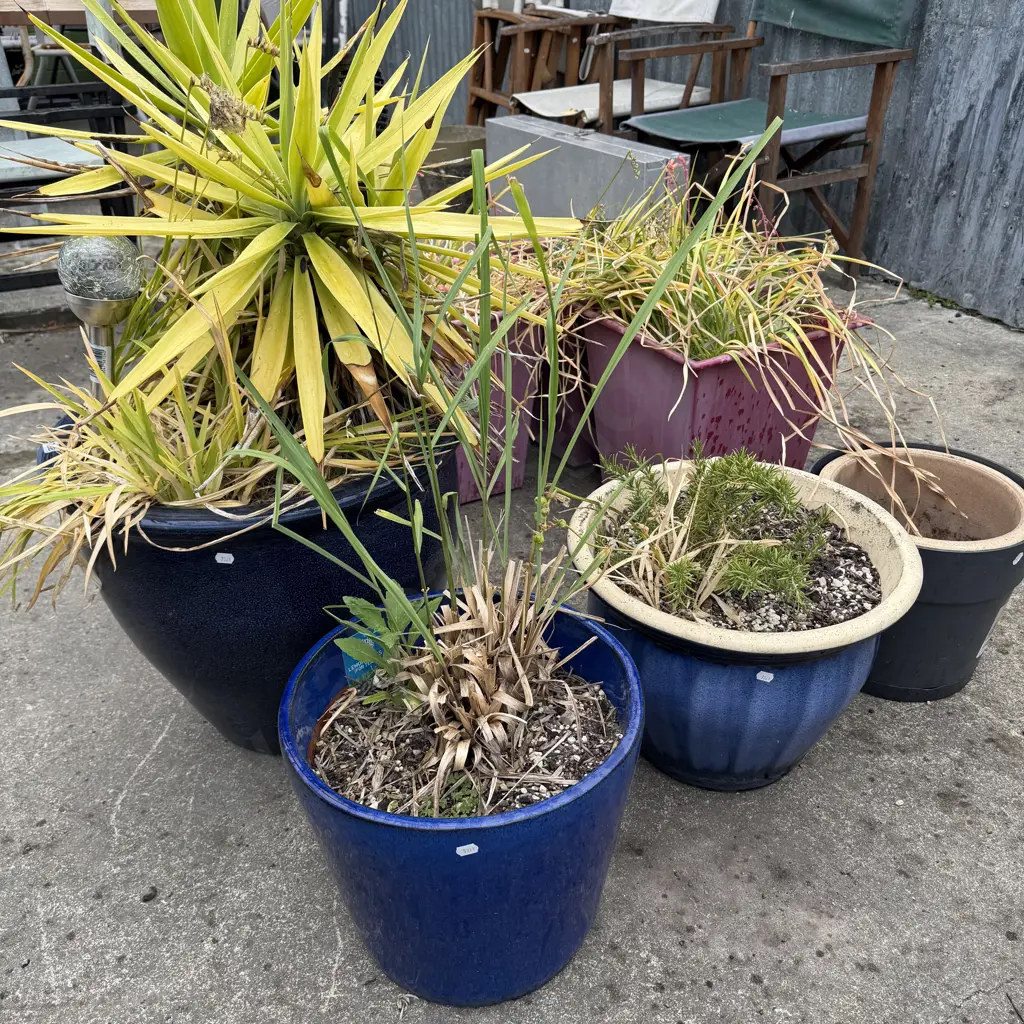large planters Image 1++