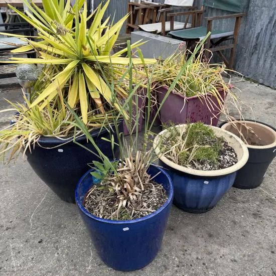 large planters