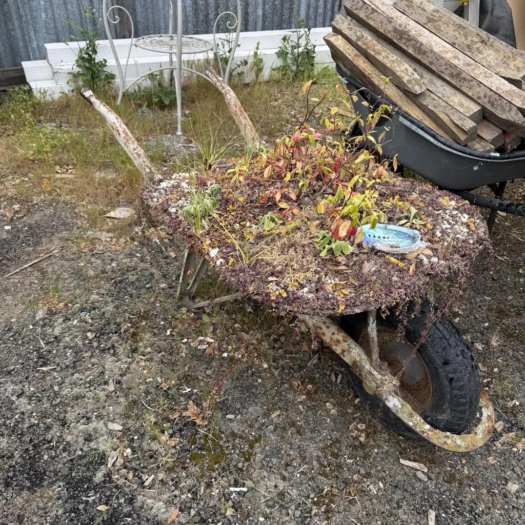 garden barrow Image 1++