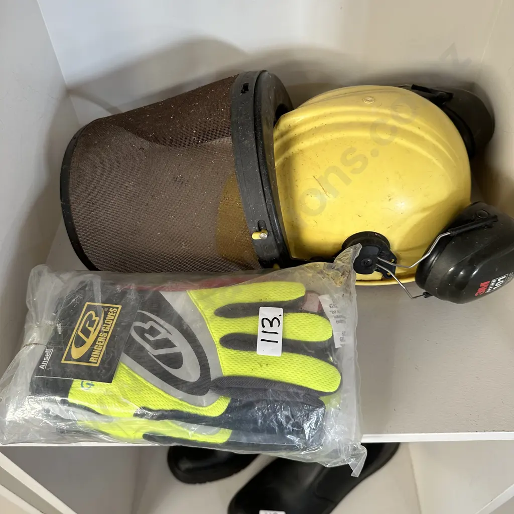 arborist helmet gloves Image 1++